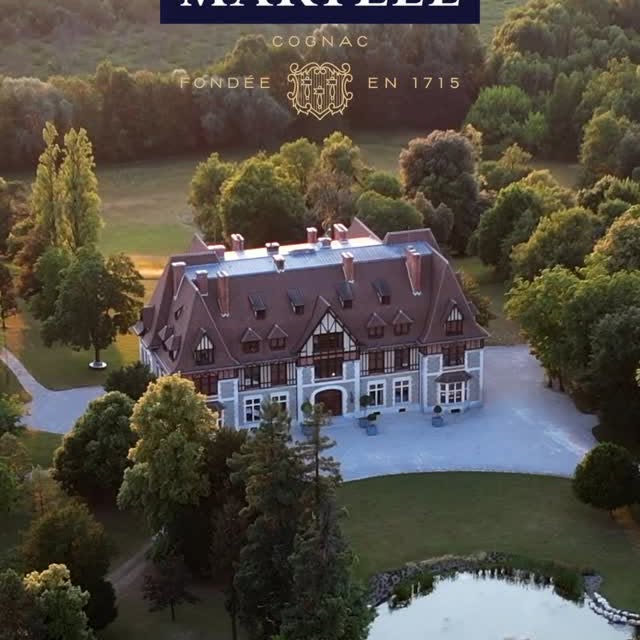 Instagram post by @joe_taslim for Martell. Caption reads: From the charming Château de Chanteloup to the....