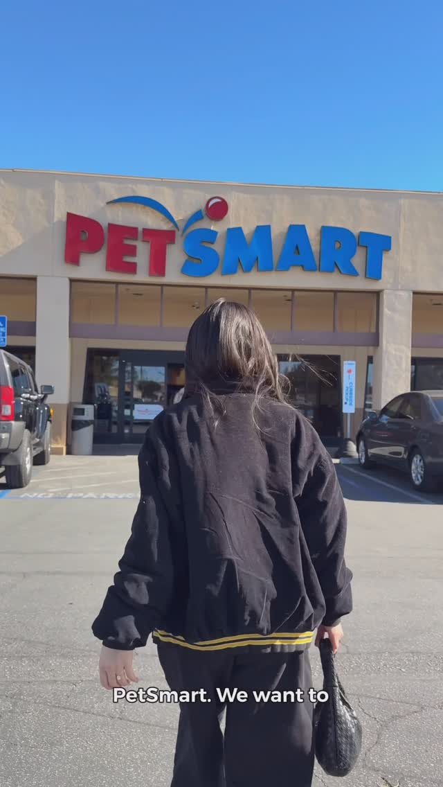 Instagram post by @chelseyamaro for PetSmart. Caption reads: Making sure we are still spoiling our fur babies....