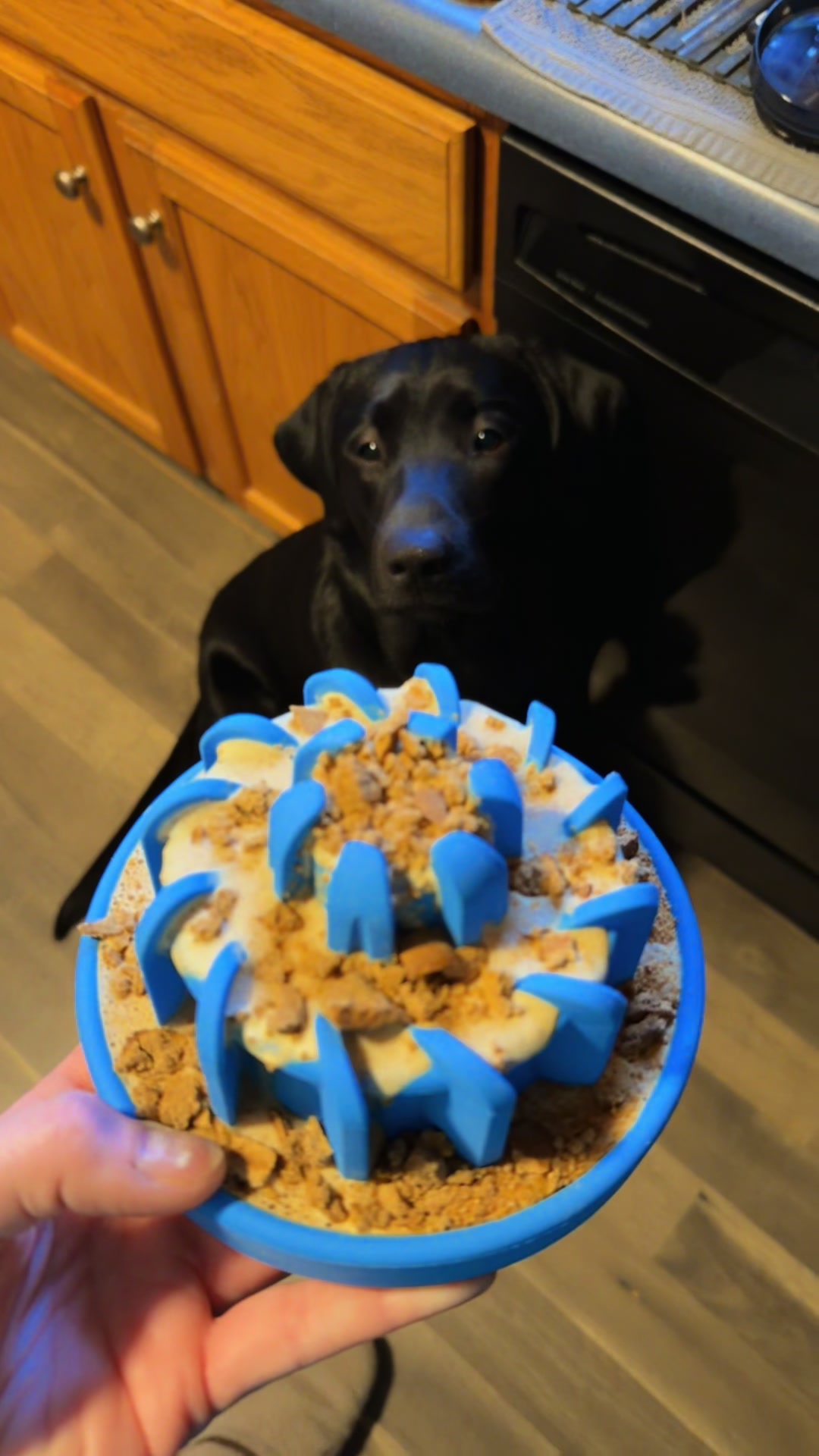 TikTok post by @mechanicwifelife24 for Freezbone. Caption reads: [...] relax tomorrow that means....