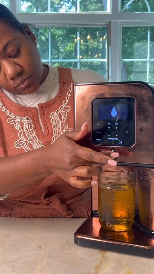 Instagram post by @chef_trenita for LĒVO. Caption reads: Steak Sandwich 🔥

Garlic Herb Infused Ghee in my....