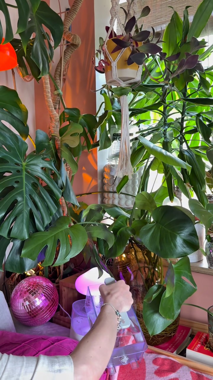 Instagram post by @abigailmarpi for Milky Plant. Caption reads: the watery is actually kinda magic! ✨💧 it filters....