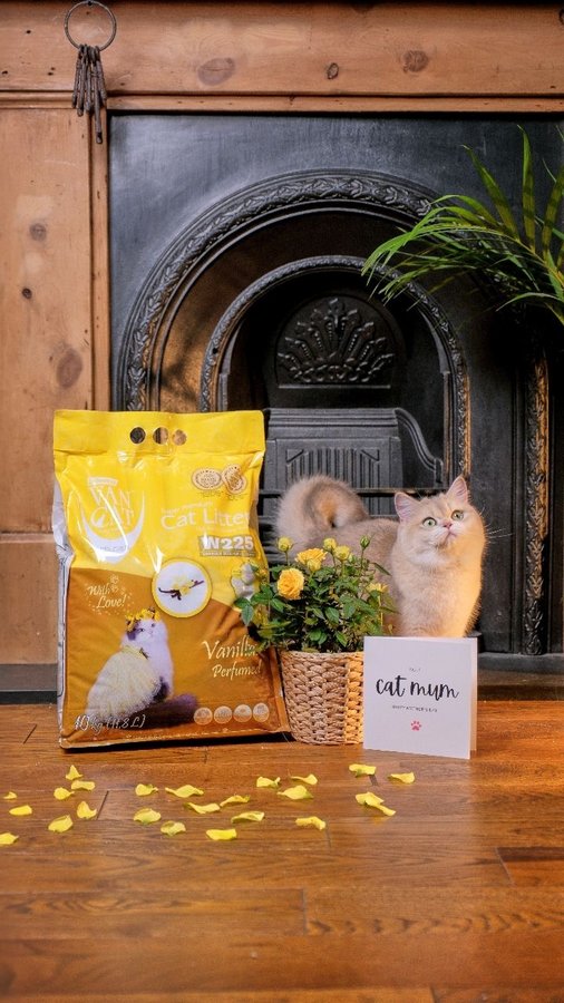 Instagram post by @golden.cheeks.cat for VanCatUK. Caption reads: AD | Mother’s Day is almost here! Have you planned....