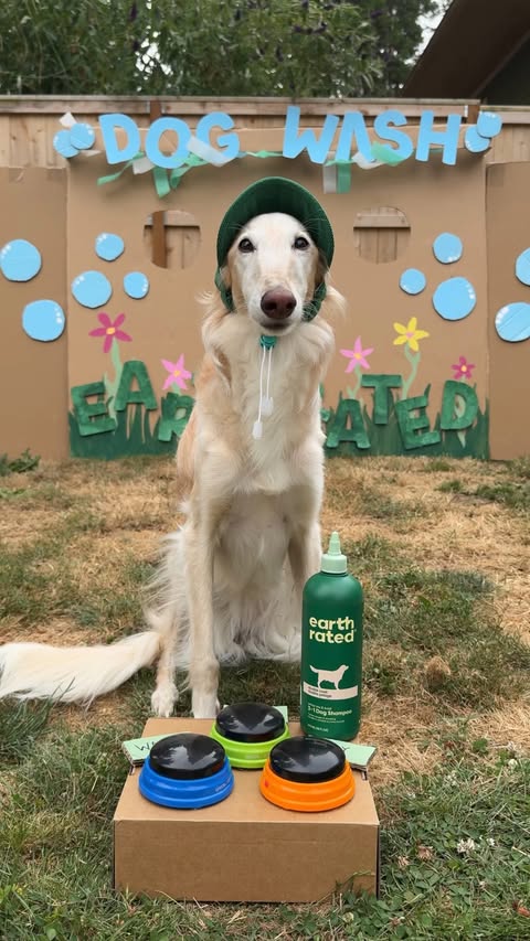 Instagram post by @cleolonglegs for Earth Rated. Caption reads: upgrade your dog wash to the @earthrated....
