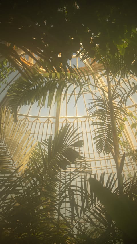 Instagram post by @sofpratto for Son de Flor. Caption reads: [...] Kew Gardens, London, wearing a full....