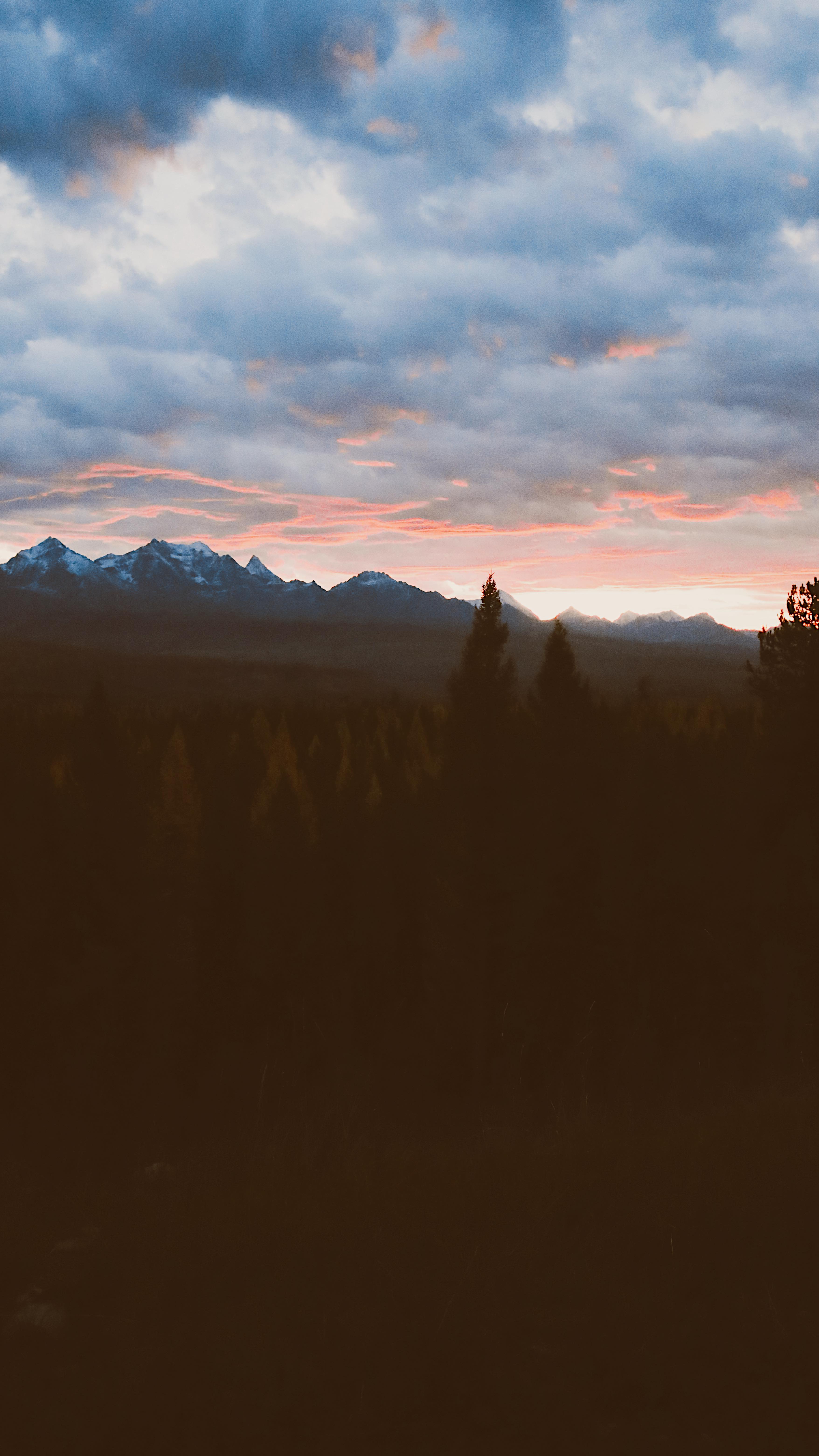 Instagram post by @mckennahulslander for Field & Stream. Caption reads: I have a special love for fall in Montana, larch....
