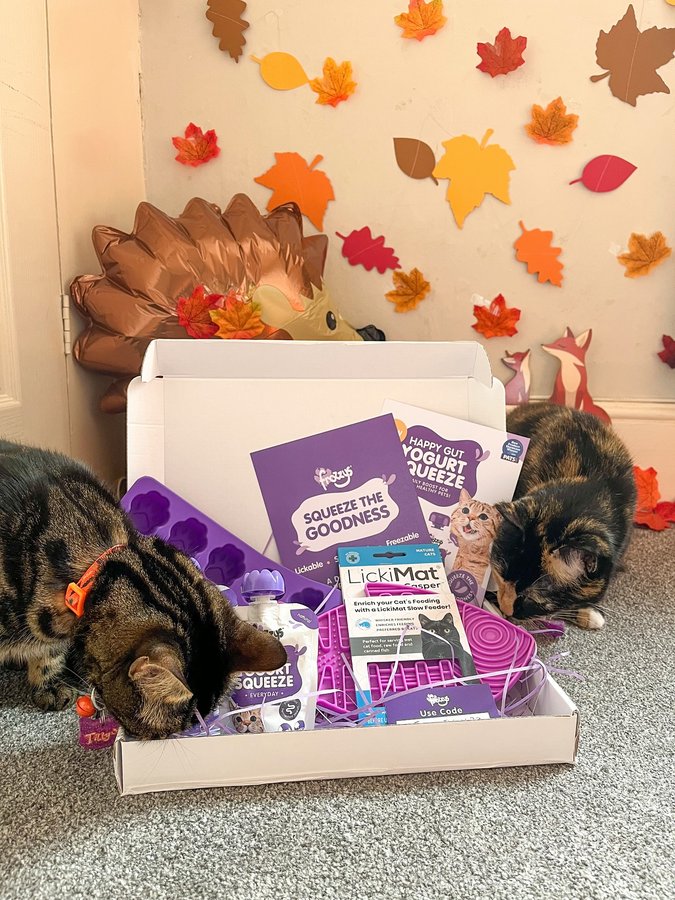 Instagram post by @thetammyandtillytravels for Frozzys. Caption reads: [...] for a happy & healthy pet 💜 Thank you....