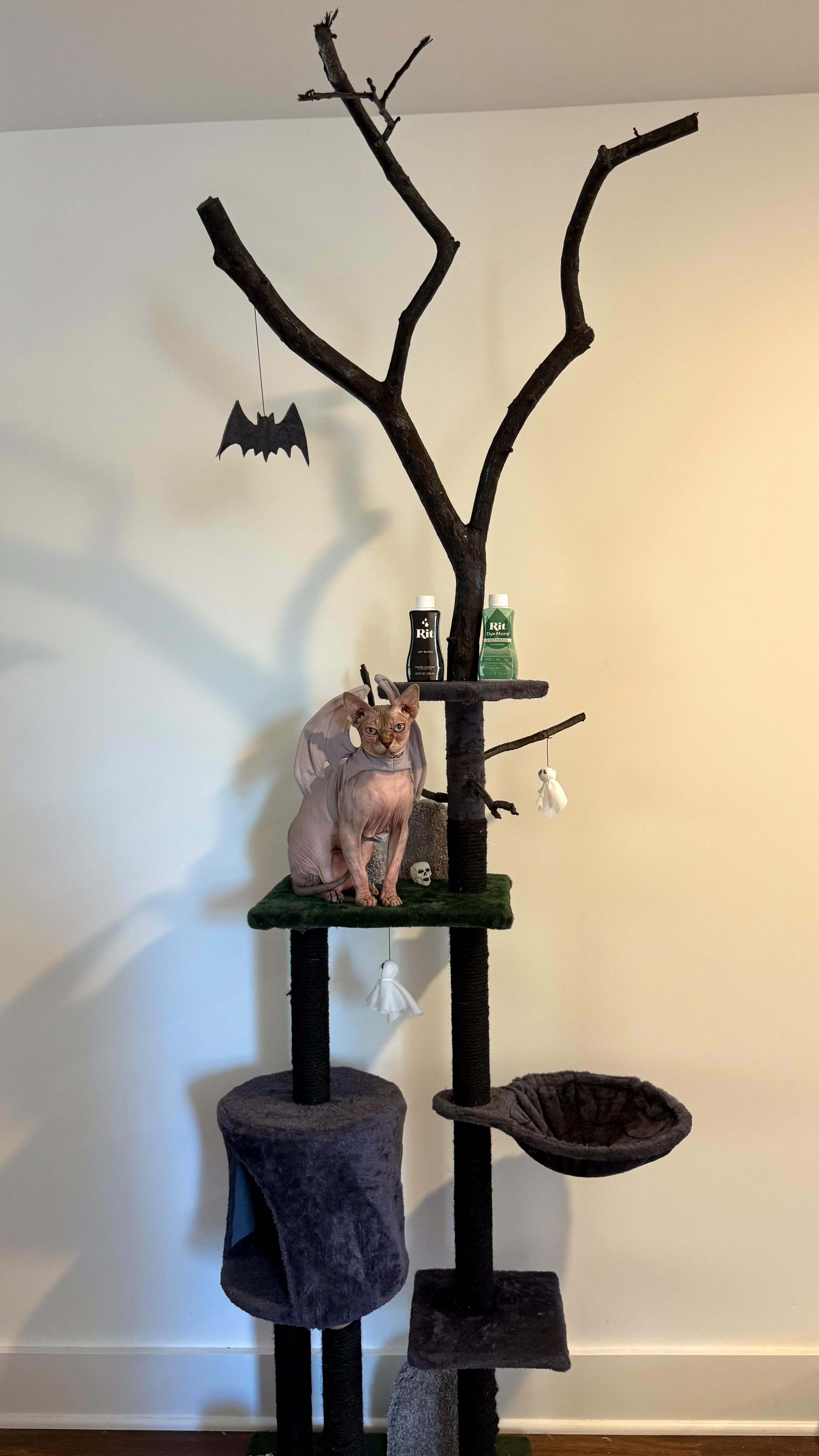 Instagram post by @paigesechrist for Rit Dye. Caption reads: @ritdye is the perfect potion to get your cat tree....