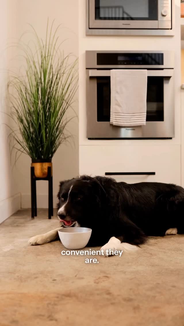 Instagram post by @curedbydogs for NutriSource Pet Foods. Caption reads: To be honest, mornings look a little different....