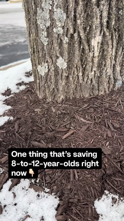 Instagram post by @page_appropriate for Simon & Schuster. Caption reads: ❓Has anyone ever told you to “just get over it”?....