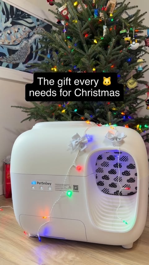 Instagram post by @its_shasta_lynn for PetSnowy. Caption reads: [...] Box 🎁🐱

This video is sponsored by....