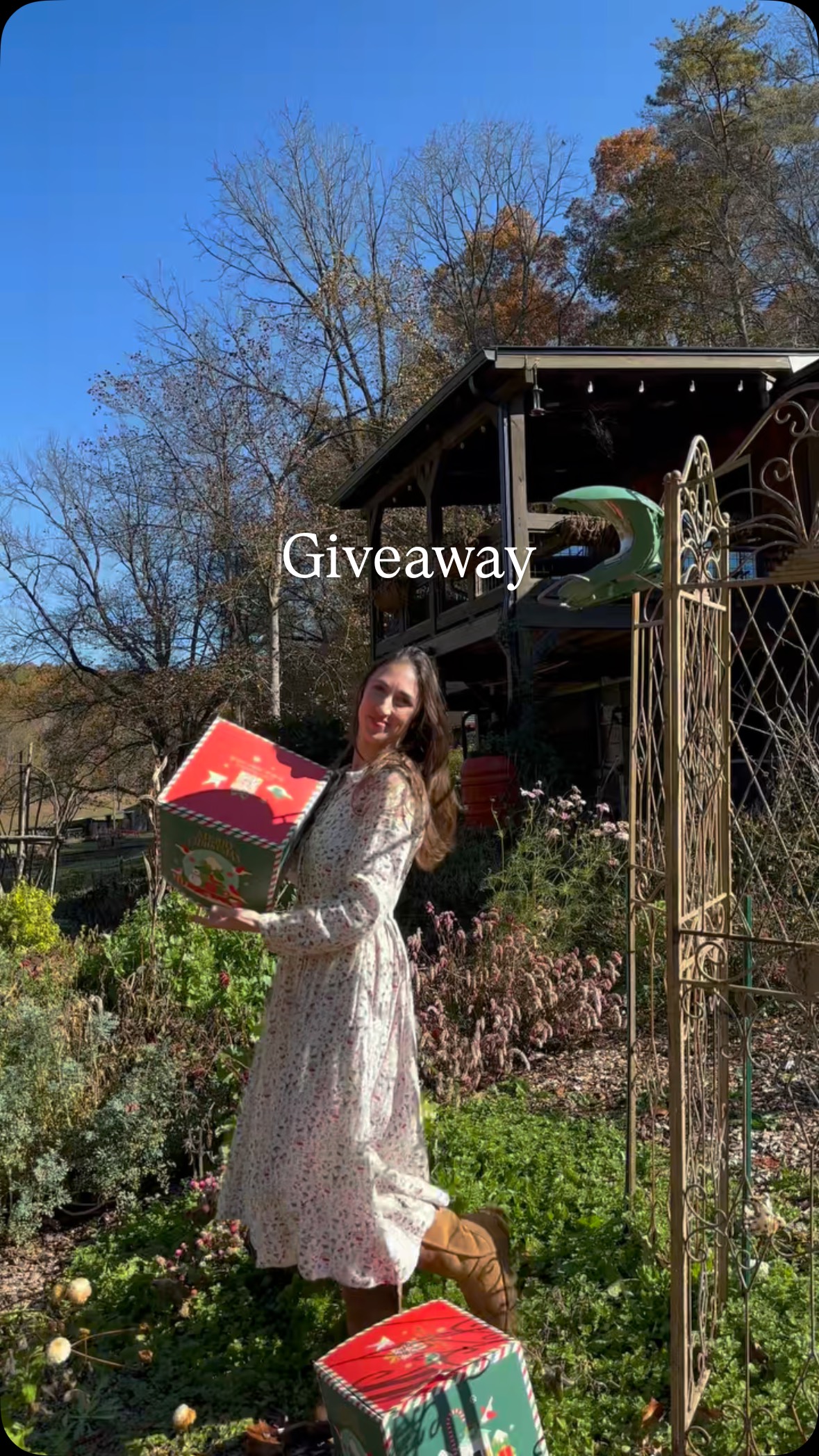 Instagram post by @the.holistic.homestead for Birdfy. Caption reads: [...] would come from a bird feeder until....