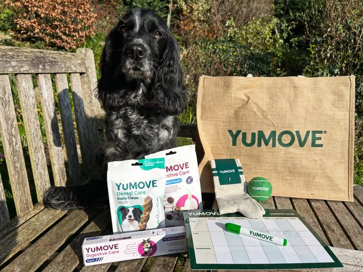 Instagram post by @dollythehearingdog for YuMOVE. Caption reads: [...] gone and got myself a rather fabulous YuMOVE....