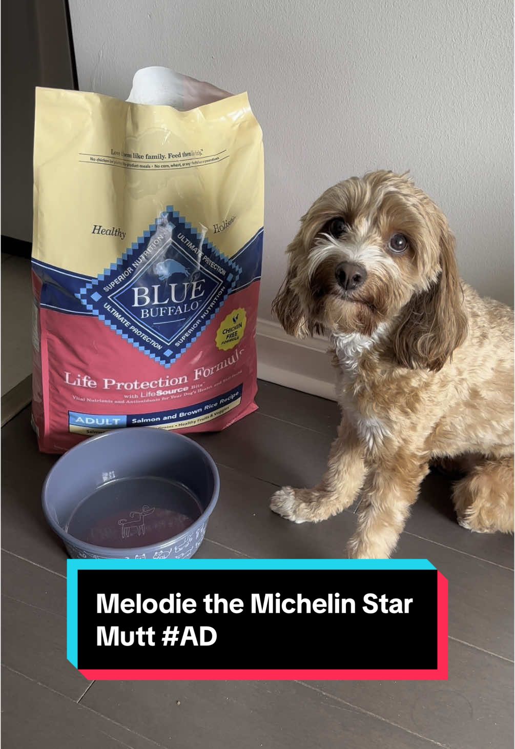 TikTok post by @melodiethecavapoo for blue buffalo. Caption reads: #BlueBuffaloPartner If your girl knows one thing,....