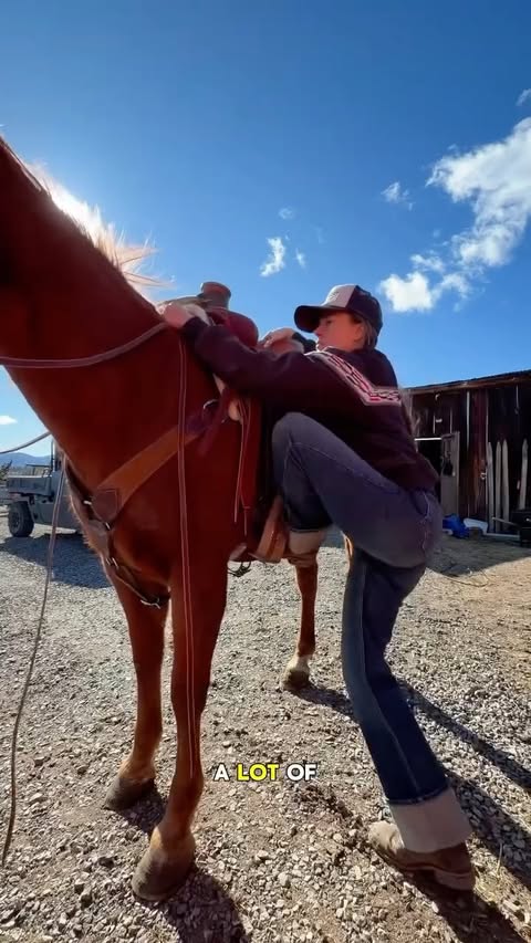 Instagram post by @emogoatmom for Vetericyn. Caption reads: [...] of thrush and other hoof issues with....