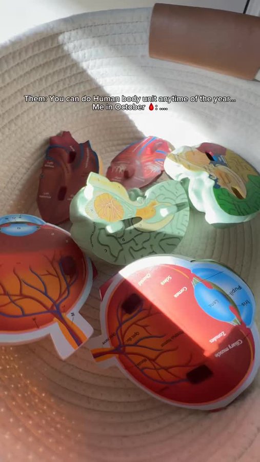 Instagram post by @cindy.cymerman for Learning Resources. Caption reads: Bringing a little spooky science to our homeschool....