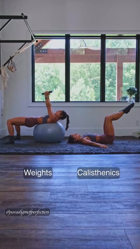 Instagram post by @paradigmofperfection for Ptula. Caption reads: Calisthenics vs weights: 9090 lower trunk rotation....