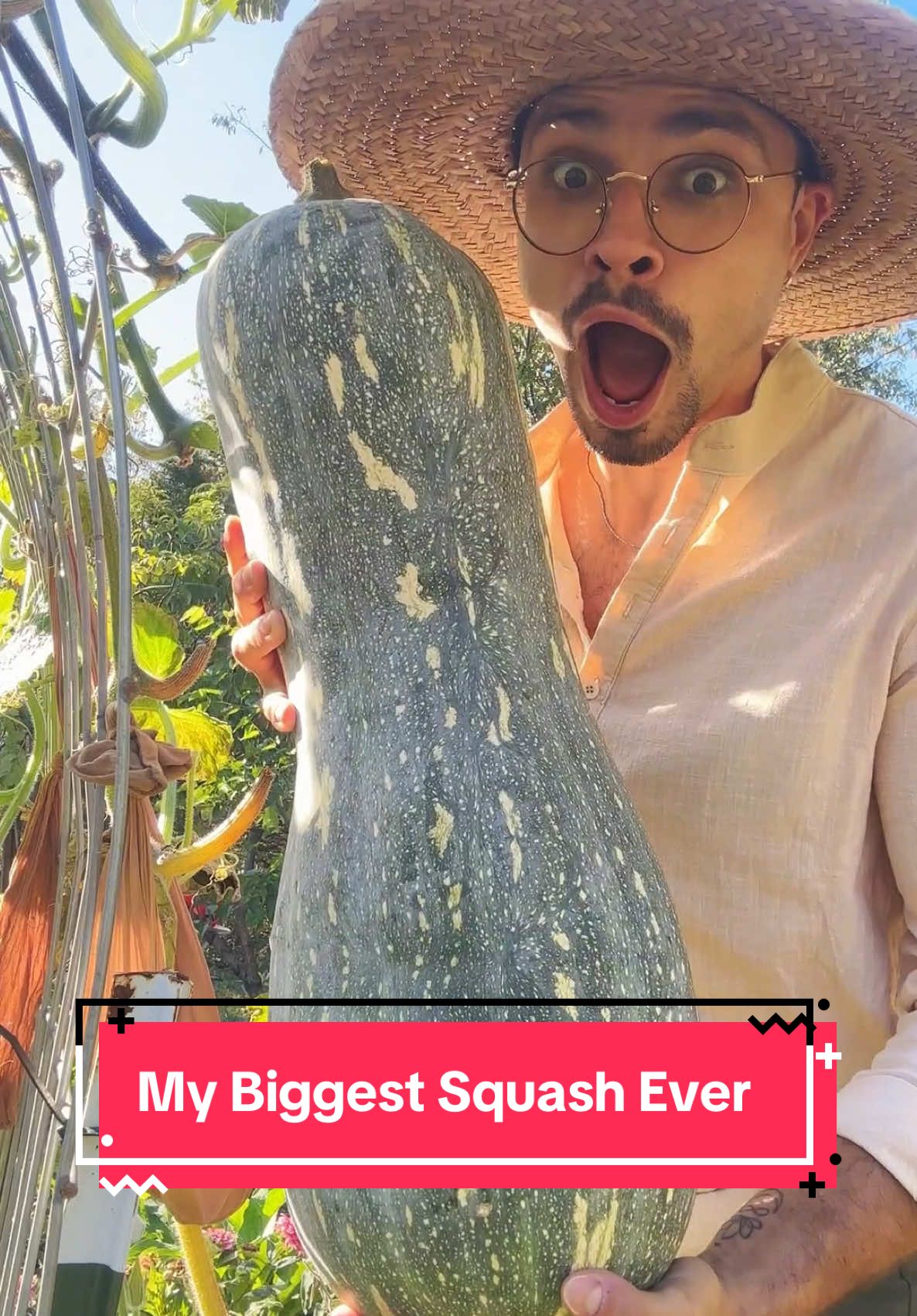 TikTok post by @redleafranch for Ferry-Morse. Caption reads: [...] The Butternut Sasquash Squash from....