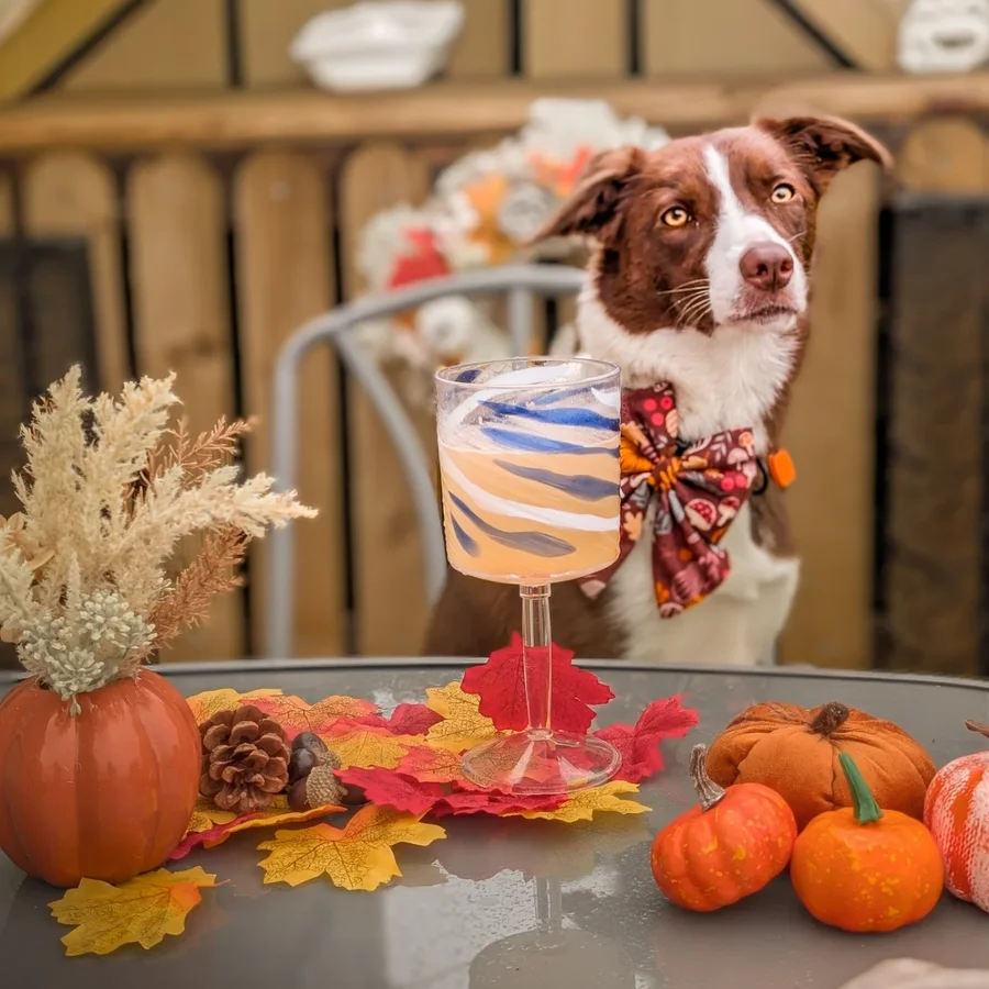 Instagram post by @oor_wee_rosie_121 for Pawer Water. Caption reads: Wednesday are for @pawerwater 🙌🏻

Pumpkin &....