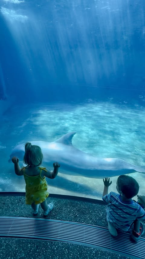 Instagram post by @thehappyfloridian for SeaWorld. Caption reads: [...] That’s why we love our family days at....