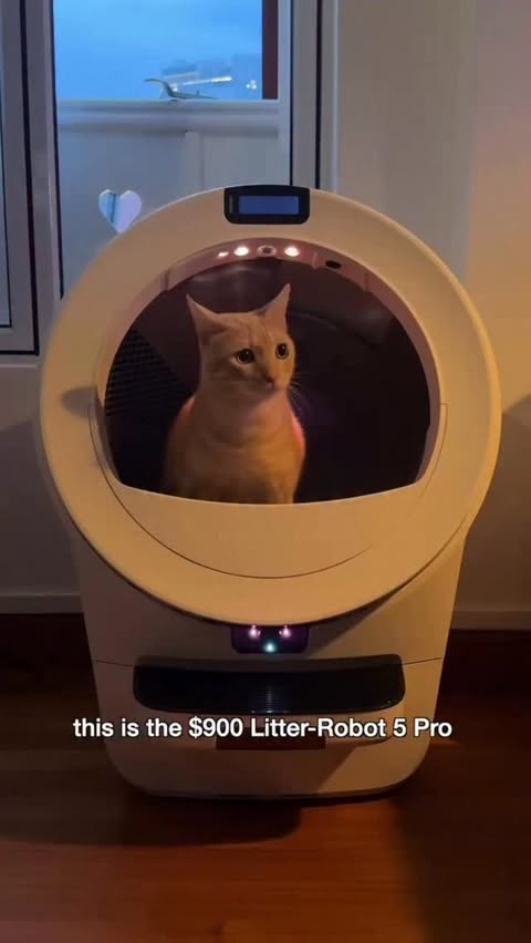 Instagram post by @felixthepalegingercat for Litter-Robot. Caption reads: [...] is the upgrade to the brand new Litter-Robot....
