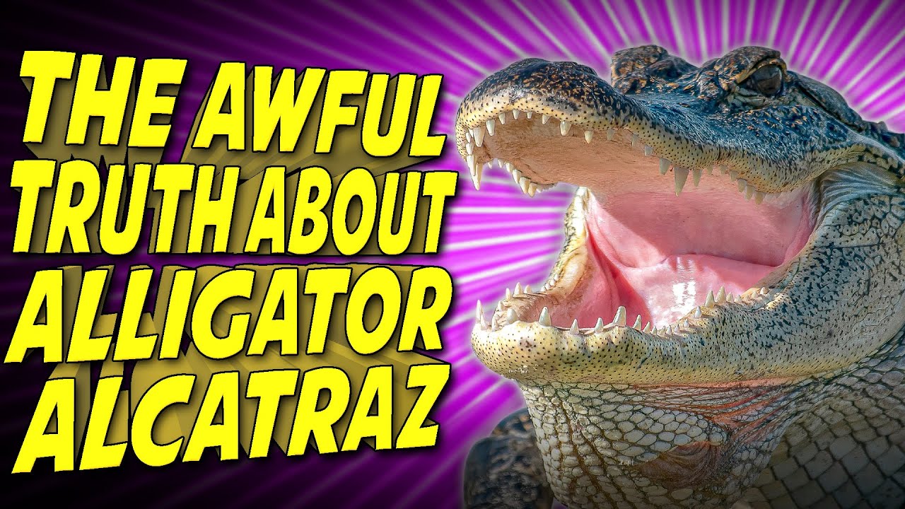 YouTube post by @InternetTodayTV for USA TODAY. Caption reads: Florida's "Alligator Alcatraz" Is Even Worse Than....