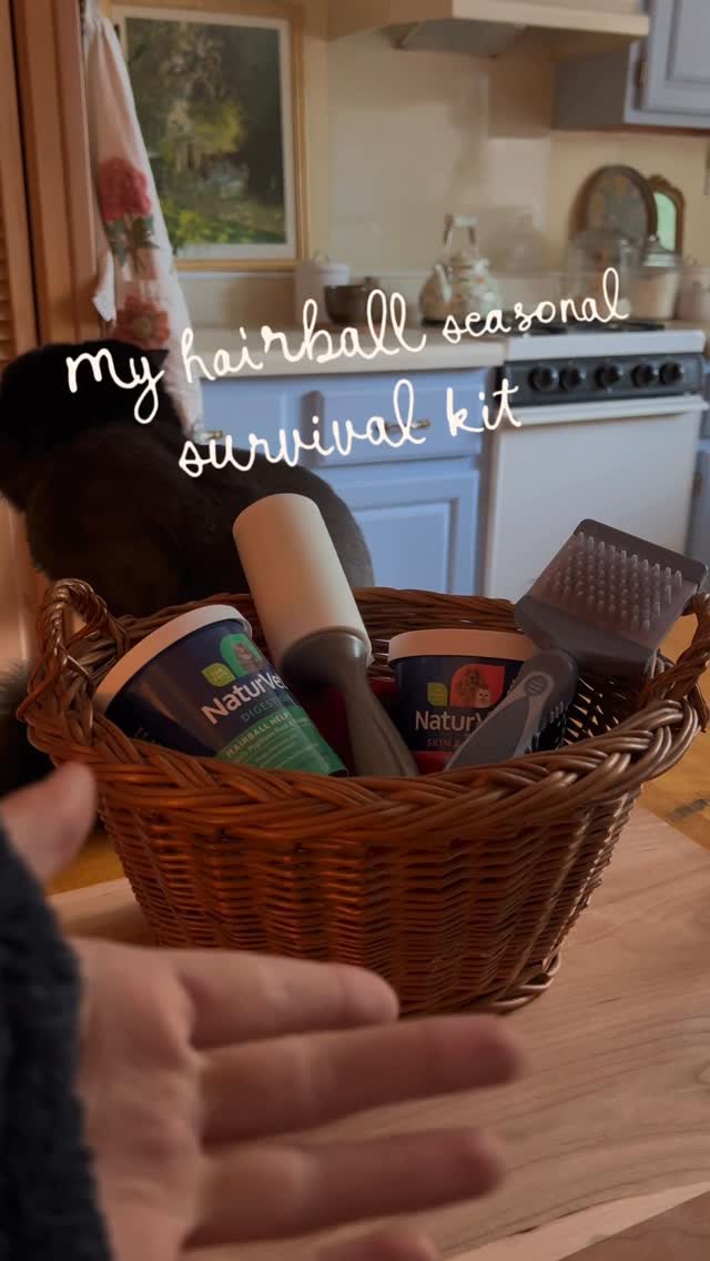 Instagram post by @lucilletherescuecat for NaturVet. Caption reads: #ad | This is my hairball seasonal survival kit....