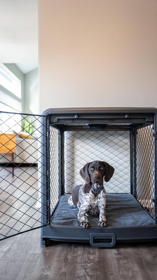 Instagram post by @comountainpack for Diggs. Caption reads: The DIGGS Revol Dog Crate has been the best [...].