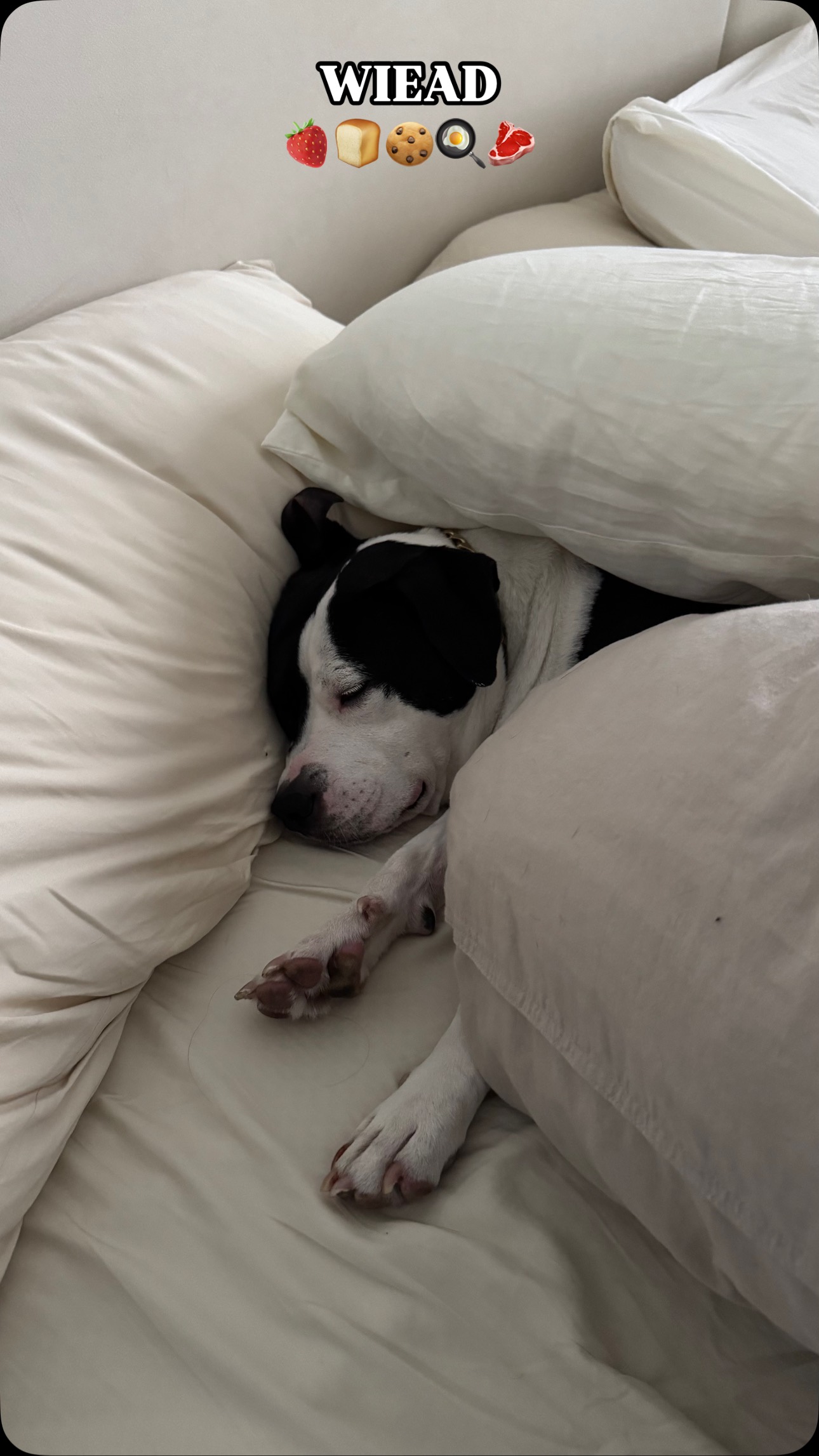 Instagram post by @donnatrana for Kroma Wellness. Caption reads: #kromapartner What I eat in a day realistic 🧚‍♀️....