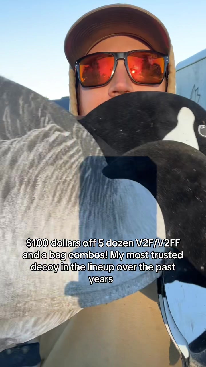 TikTok post by @matt.judy for Dive Bomb Industries. Caption reads: [...] Sale is now live head to the @Dive Bomb....