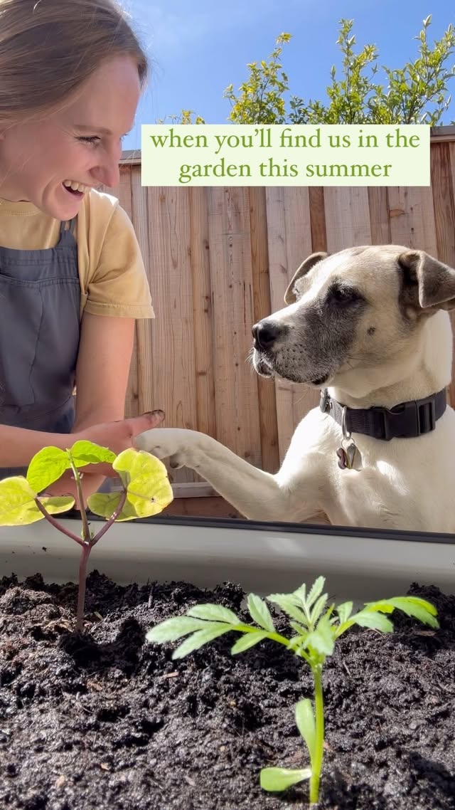 Instagram post by @girlandherdogfarm for Epic Gardening. Caption reads: [...] and beautiful flowers from our....