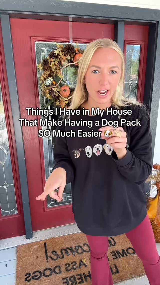 Instagram post by @tfo300 for Petcube. Caption reads: hope this helps any fellow dog pack parents....