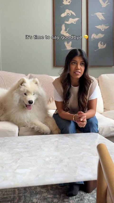 Instagram post by @life.with.a.landcloud for PetSmart. Caption reads: [...] making your relationship decisions 😉....