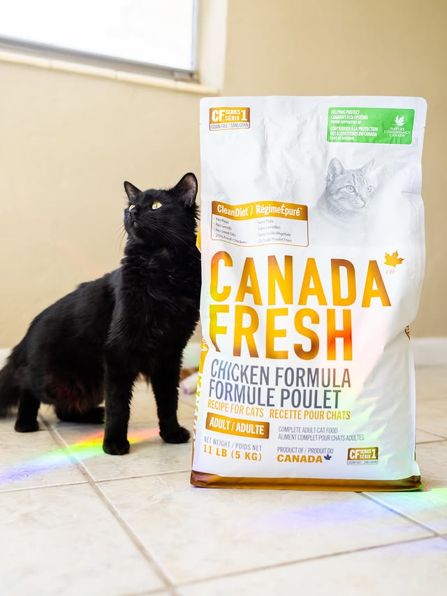 Instagram post by an influencer for Canada Fresh by PetKind. Caption reads: Only the best for Freddie 🖤 | AD The whole pack....