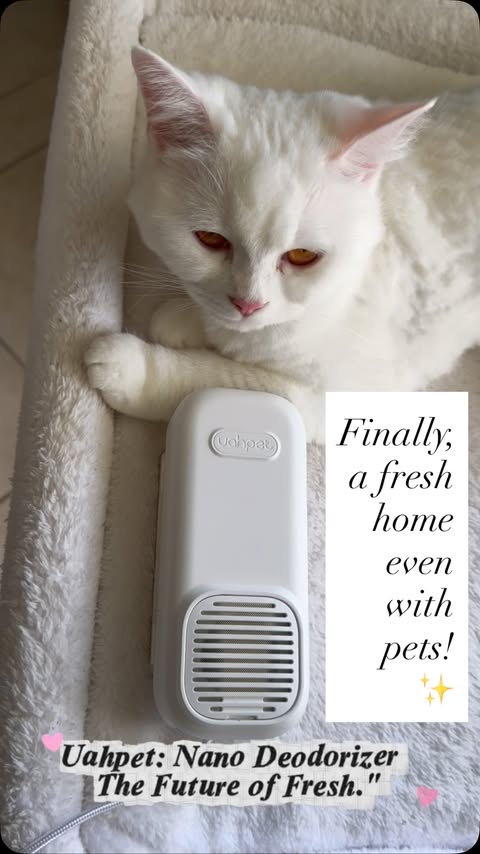 Instagram post by @turkishfamilyusa for Uahpet. Caption reads: [...] home freshness is officially over! ✨ The....