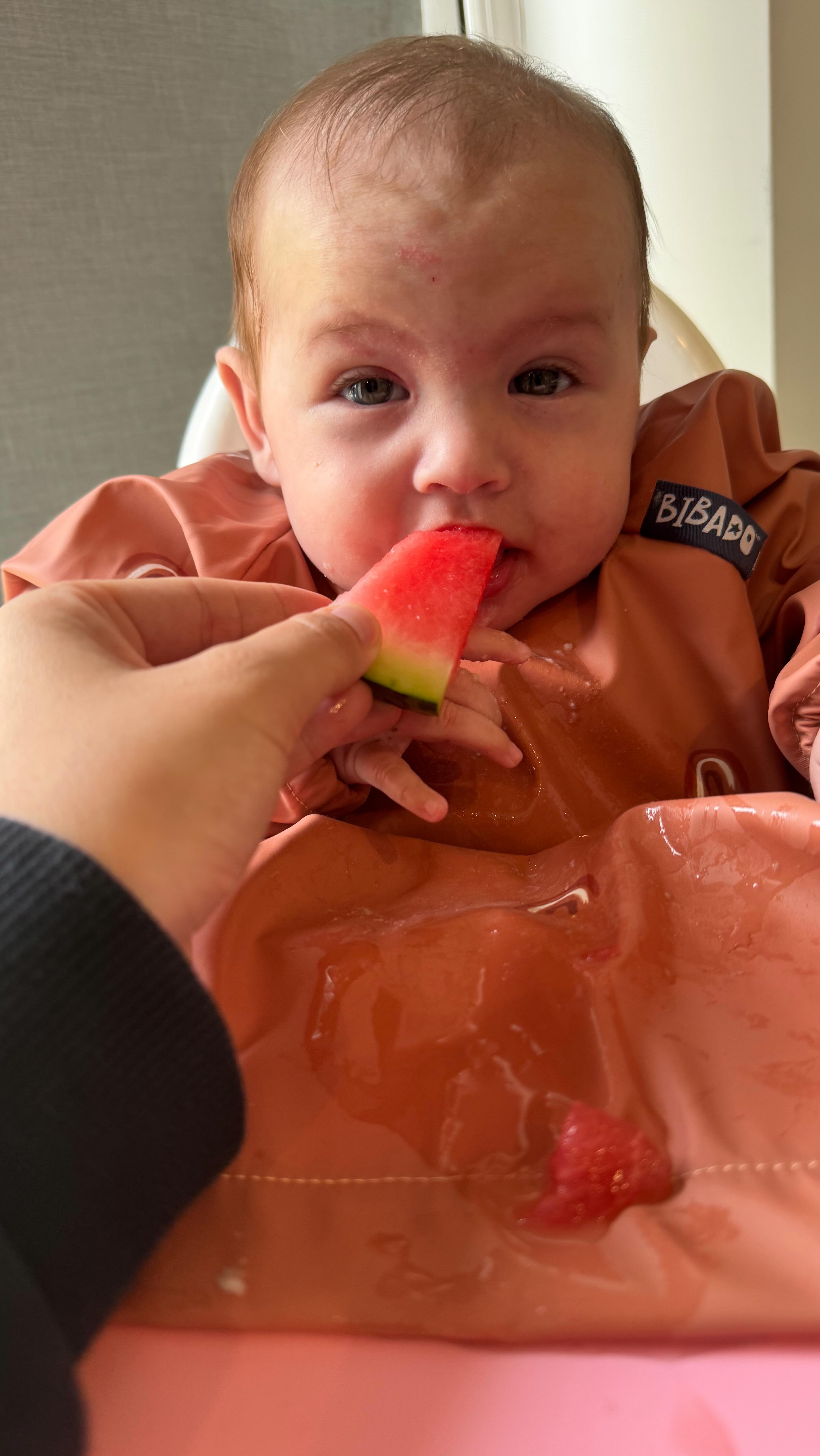 Instagram post by @xlaureneverson for Bibado. Caption reads: And that’s what Neave thinks to watermelon 😂 she....