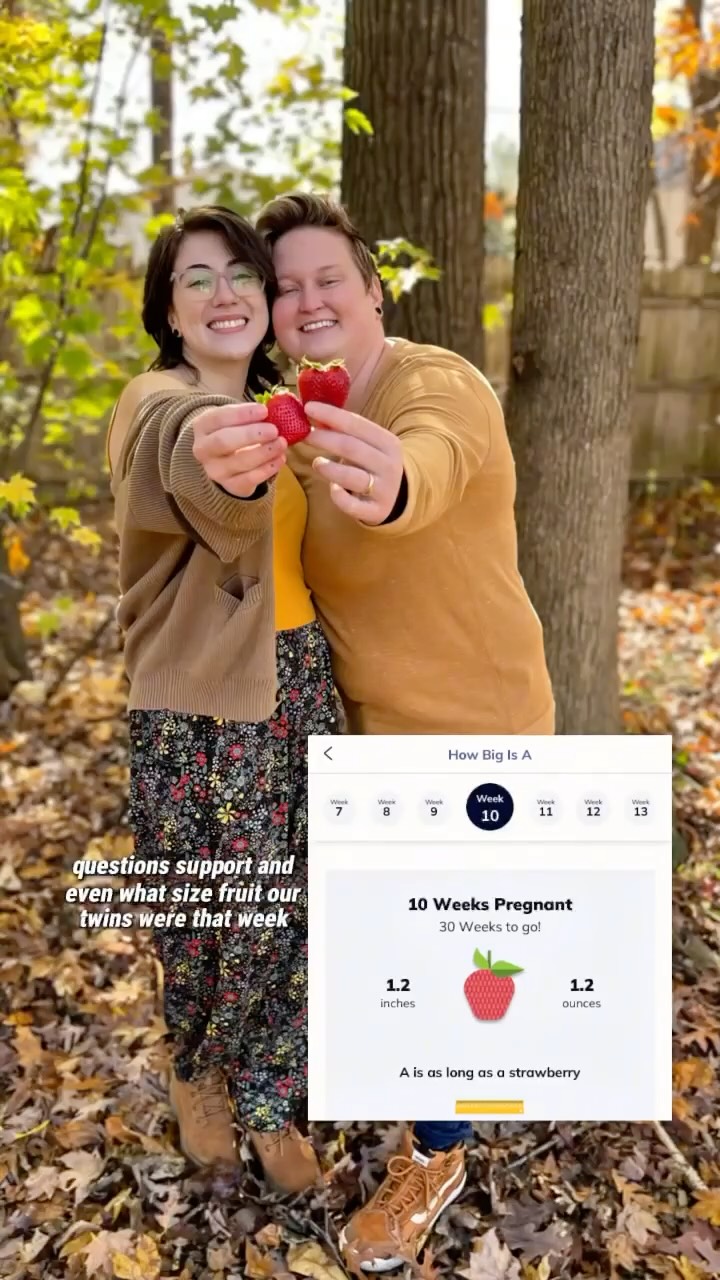 Instagram post by @sarahandcindy for The Bump. Caption reads: Pregnancy prep? ✅ Baby milestones? ✅ Bump is my....