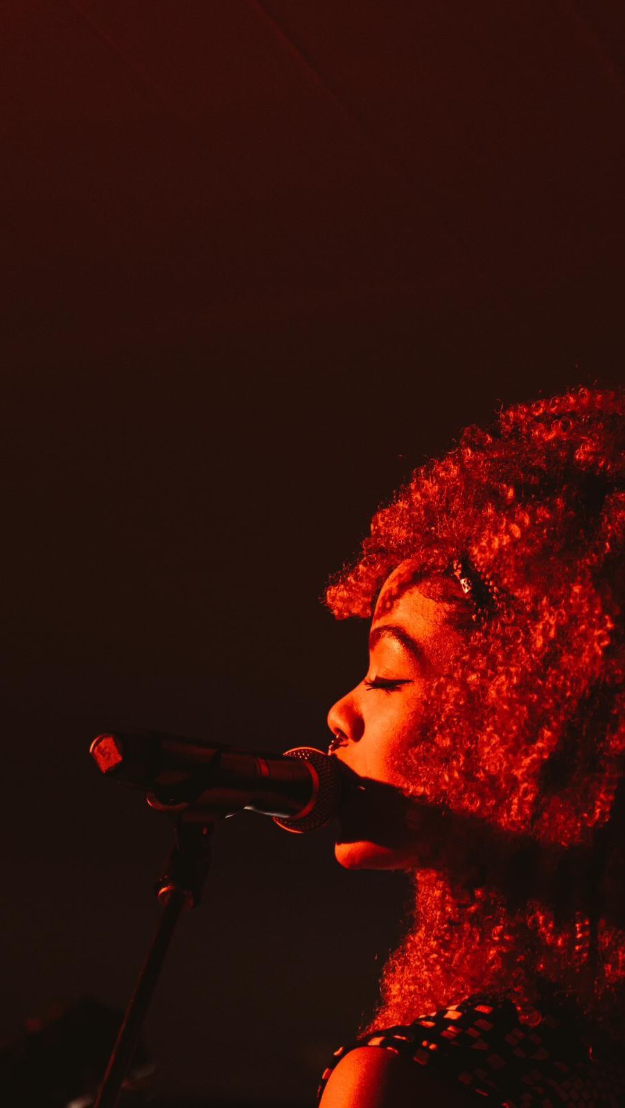 Instagram post by @tigrestudios for Estrella Damm. Caption reads: 💥JUST ANNOUNCED💥
🇨🇺 Afro-Cuban Queen of son....