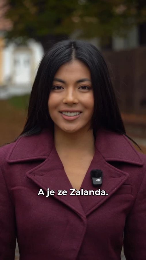 Instagram post by @beha_nguyen for Zalando. Caption reads: [...] vypadat chic? Burgundy!🍇 @zalando #zalando....