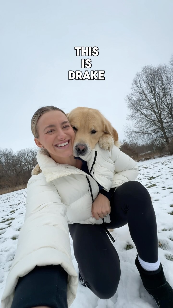 Instagram post by @drakethepupstar for Dog is Human. Caption reads: [...] scratching… and that’s why I give him....