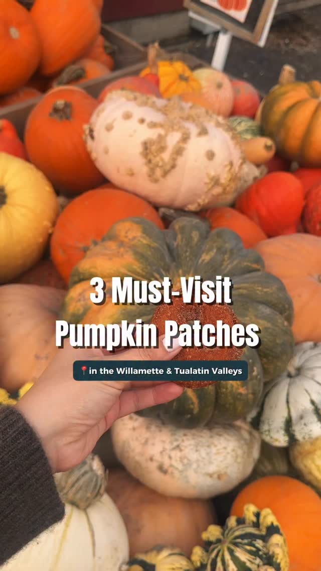 Instagram post by @wander.with.bri for Travel Oregon. Caption reads: It’s officially pumpkin patch season in Oregon.....