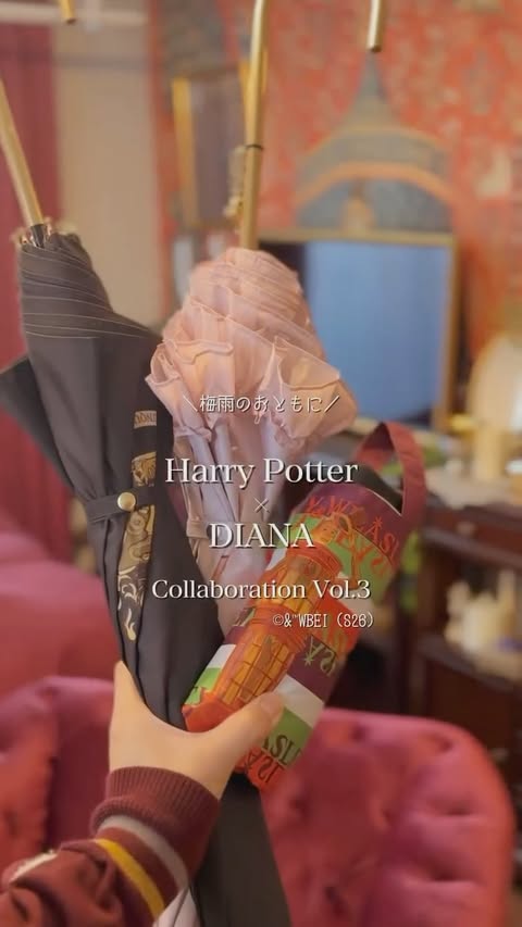 Instagram post by @kouteipeng for Harry Potter. Caption reads: #PR 「Harry Potter × DIANA Collaboration Vol.3」....