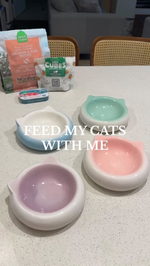 Instagram post by @simple.kitties for Open Farm Pet. Caption reads: Let’s make an @openfarmpet meal for the kitties 🤍....