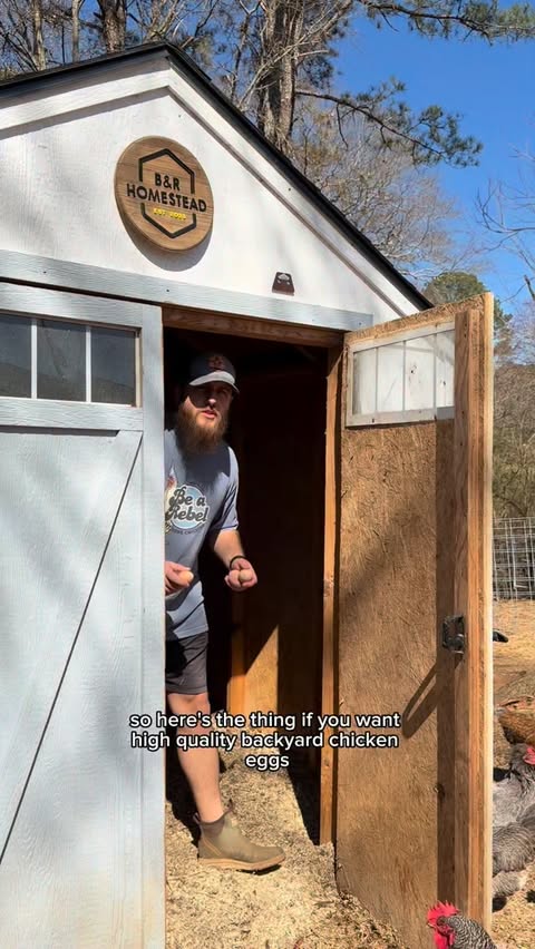 Instagram post by @bandrhomestead for Scratch and Peck Feeds. Caption reads: @scratchandpeckfeeds has you covered this spring!....