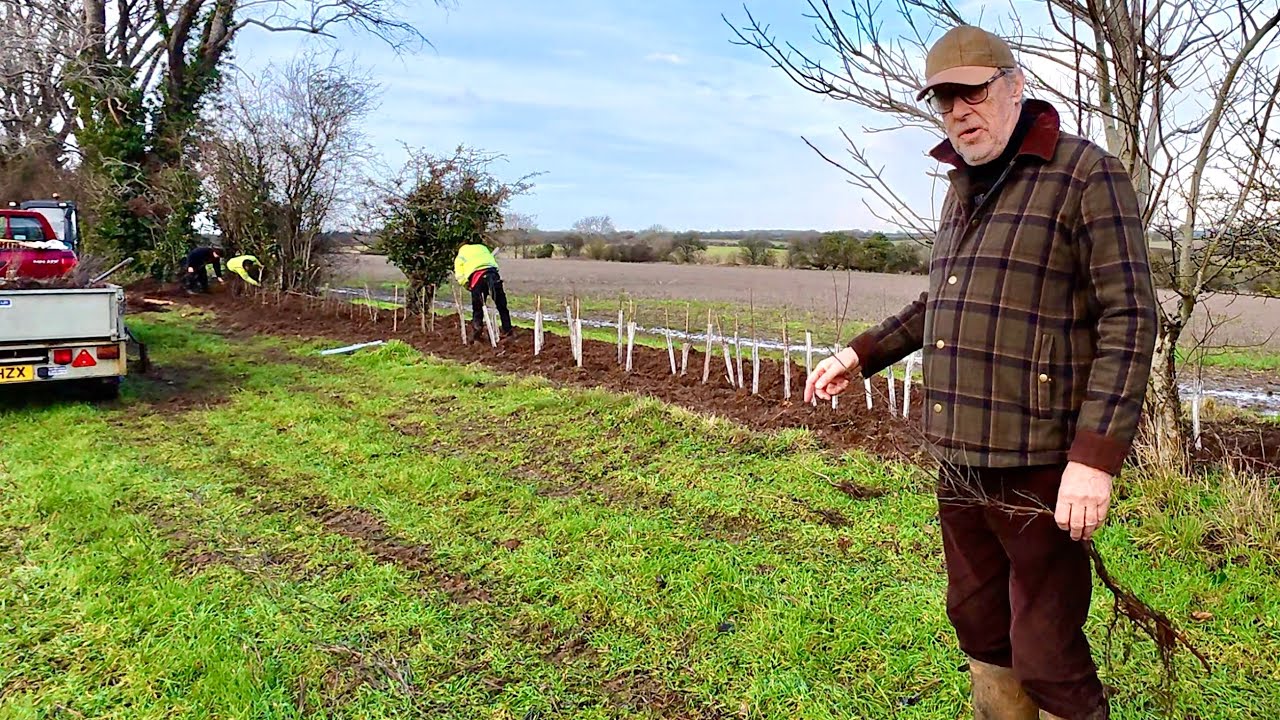 YouTube post by @harrysfarmvids for CTEK. Caption reads: A new hedge goes in, more Zoo Poo arrives and it....