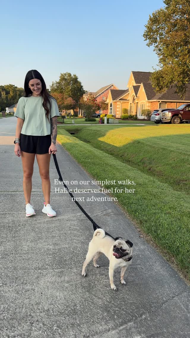 Instagram post by @thewanderdiary for Primal Pet Foods. Caption reads: 🐾 We’ve always believed in fueling adventures....