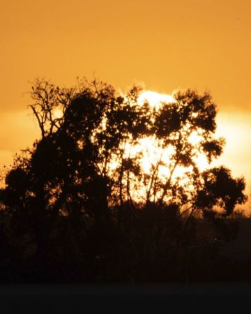 Instagram post by @rawdublin for Huawei Mobile Ireland. Caption reads: My Sonic Escape to Jamaica 🇯🇲 #Ad....