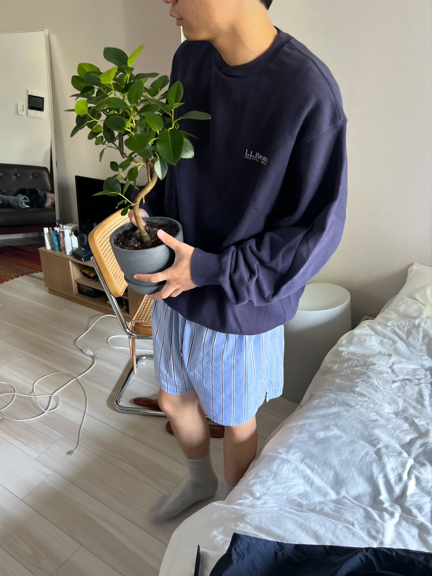 Instagram post by @136kg__ for ANDPLANTS. Caption reads: .
@andplants.jp....