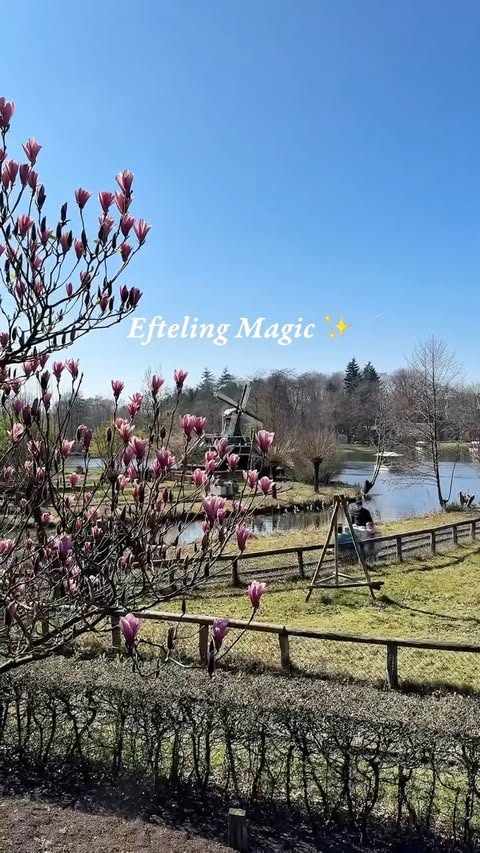 Instagram post by @hylo.abroad for Efteling. Caption reads: We spent 2 magical days at Efteling. I understand....