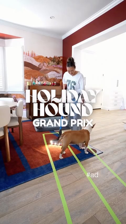 Instagram post by @laurdiy for BISSELL. Caption reads: absolutely RIVETING race, brought to you by....