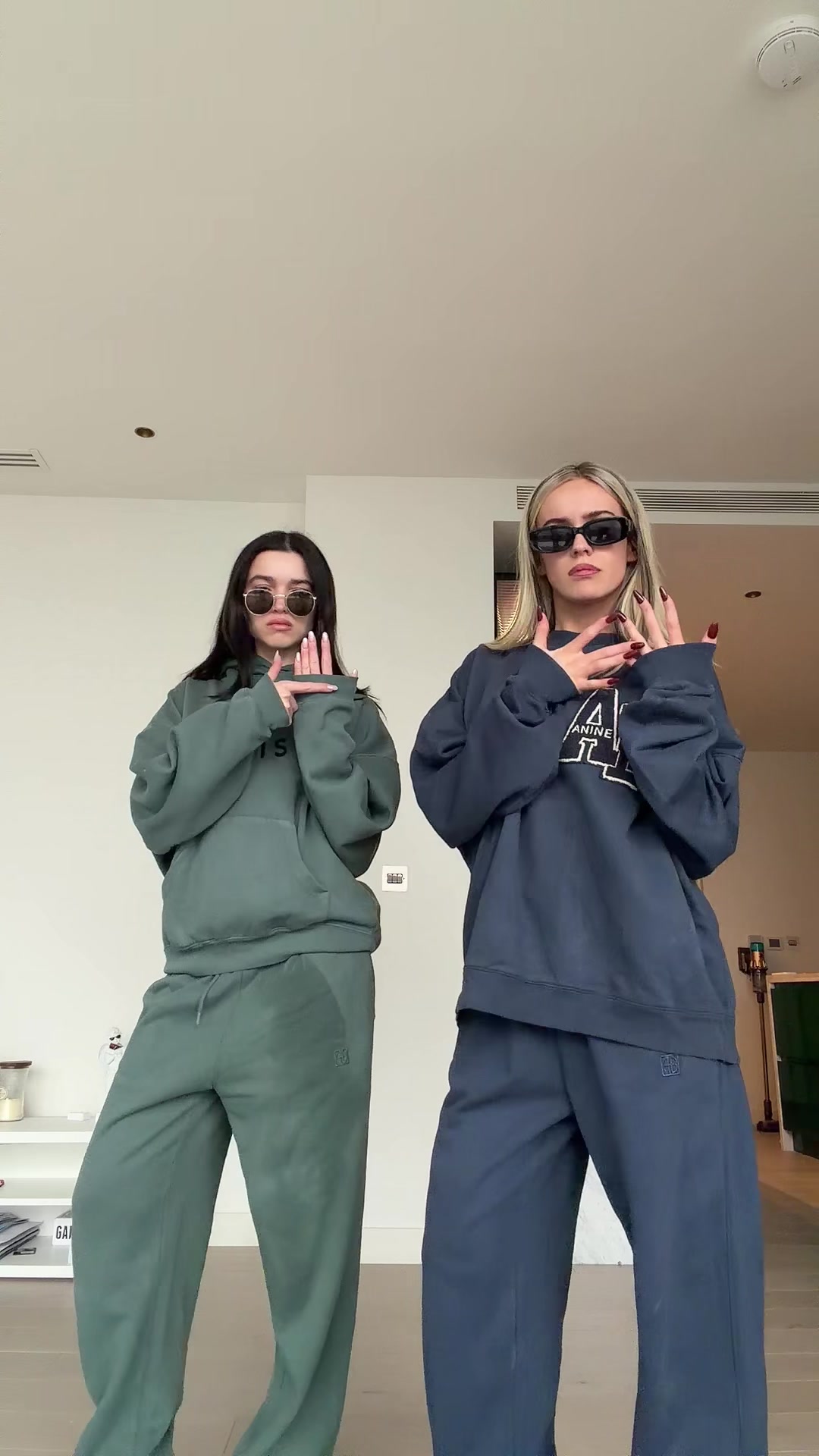 TikTok post by @brookeandjess for ANINE BING. Caption reads: obsessed with our @ANINE BING OFFICIAL tracksuits....